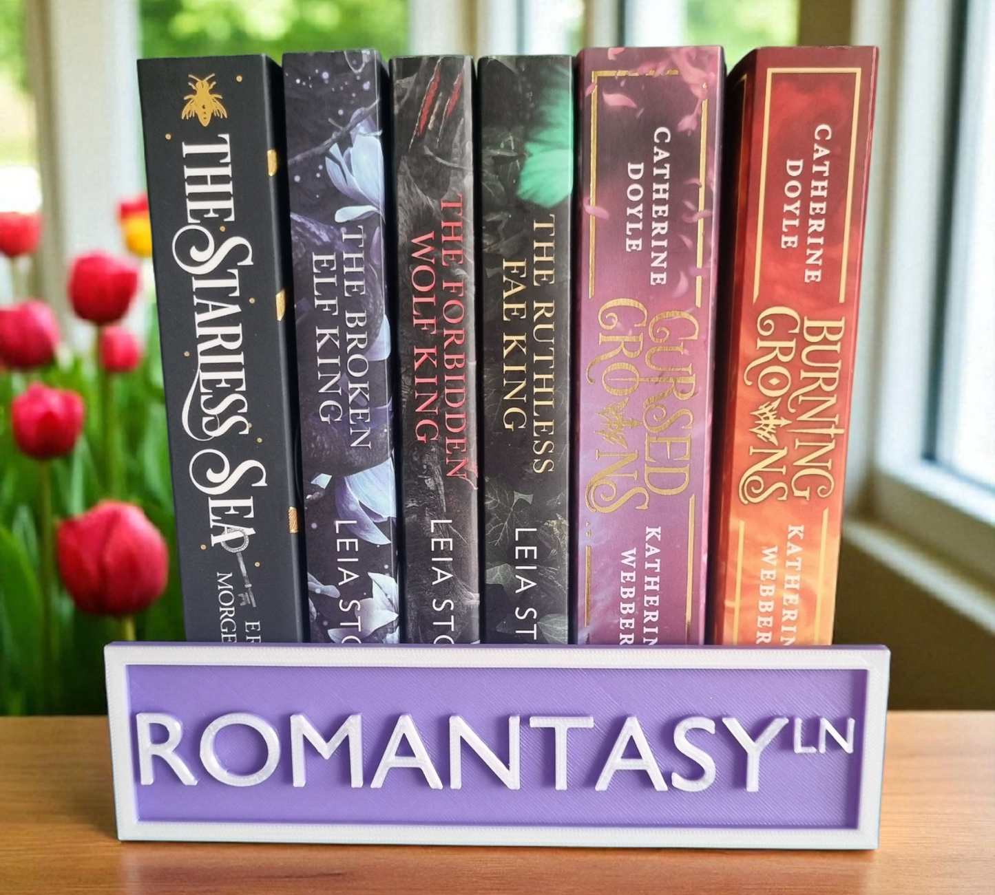 ROMANTASY LN Bookshelf Street Sign
