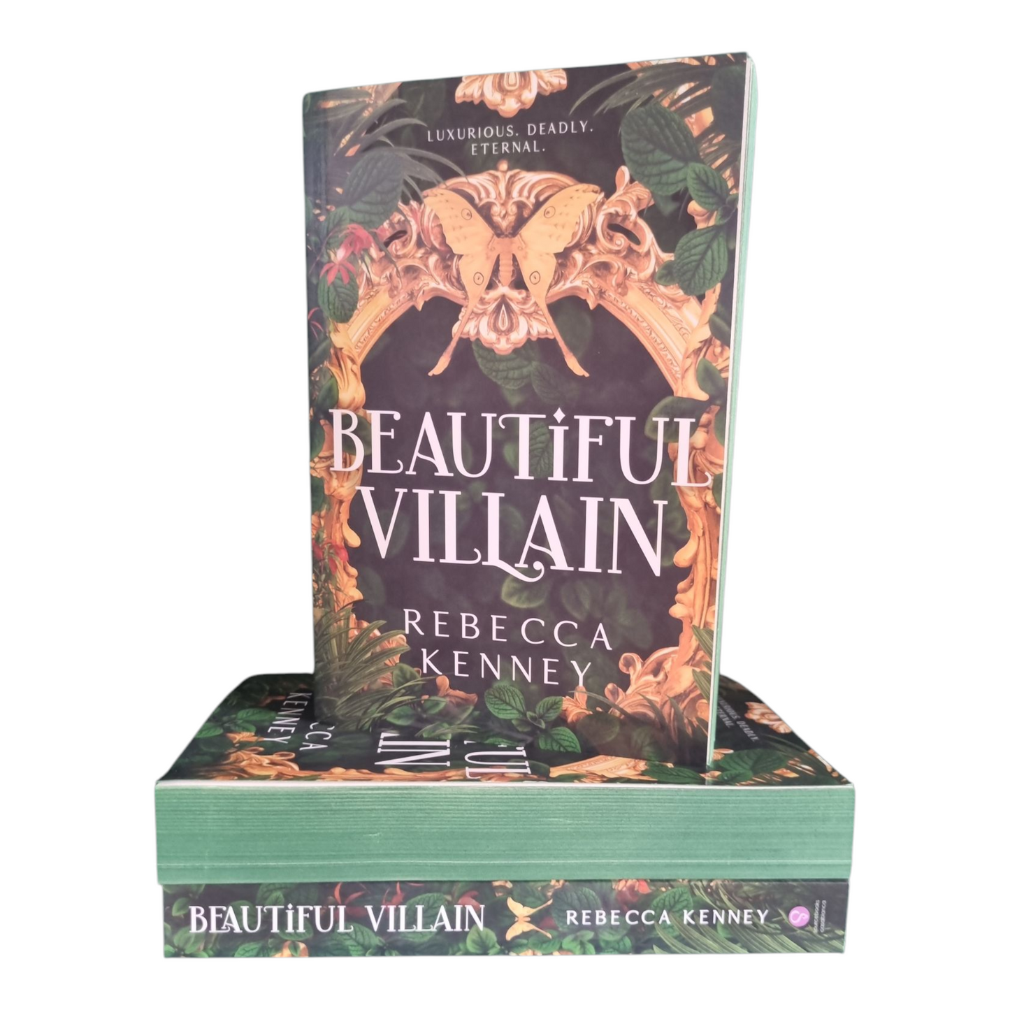 Beautiful Villain - Rebecca Kenney